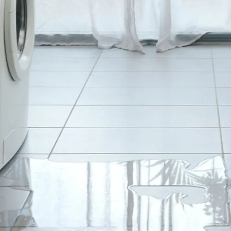 Appliance Leak Cleanup in Whitney, TX