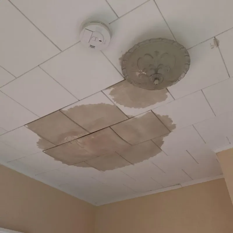 Ceiling Water Damage Repair in Whitney, TX