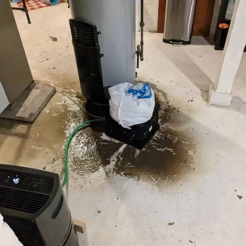 Sewage Backup Cleanup Service in Whitney, TX